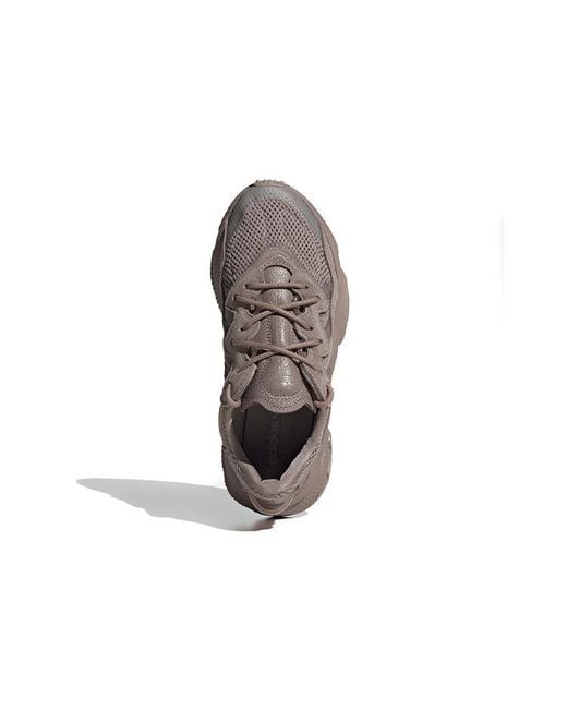 Adidas Brown (Wmns) Ozweego 'Lava'
