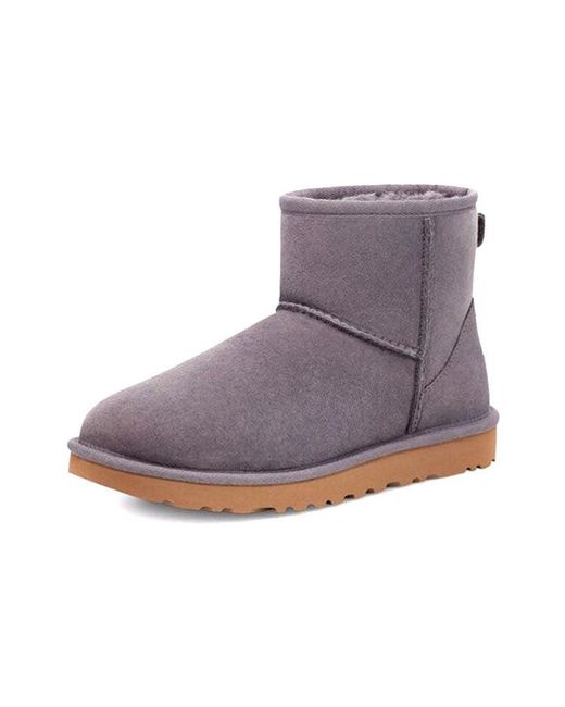 Ugg Purple (Wmns) Classic Mini Ii