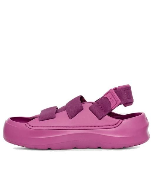 Ugg Purple (Wmns) Stratus