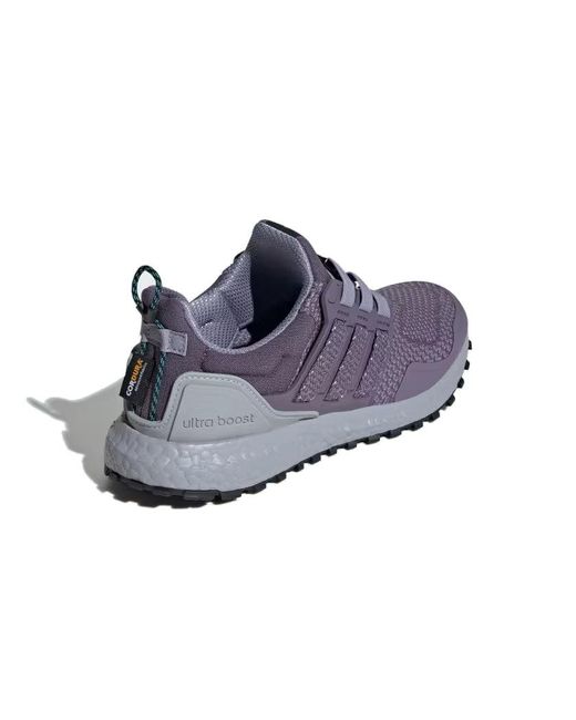 Adidas Blue (Wmns) Ultraboost 1.0 'Shadow'