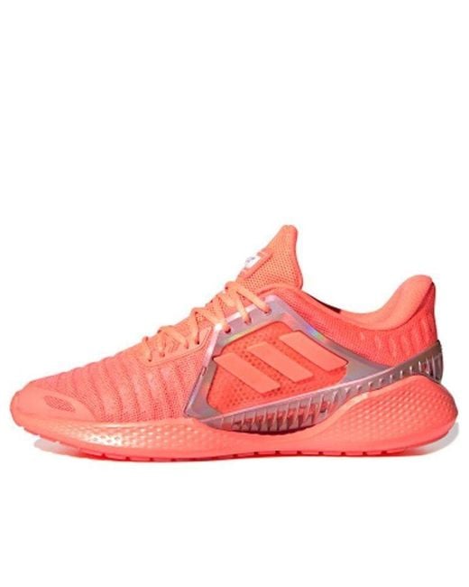 Adidas Pink Climacool Vent Summer.Rdy 'Signal Coral' for men