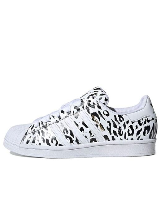 Supresión equipo claramente adidas Originals Adidas Superstar 'cheetah Print' in White | Lyst