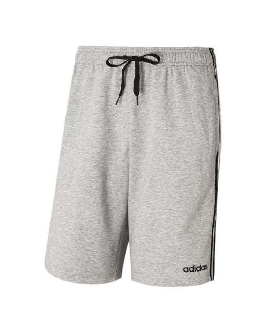 Adidas Gray Stripe Logo Training Knit Casual Sports Shorts for men
