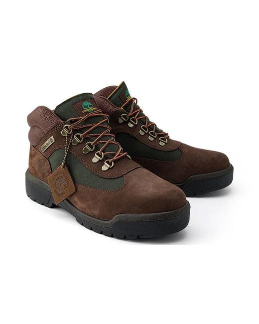 Timberland Brown Field Boot F/L Waterproof for men