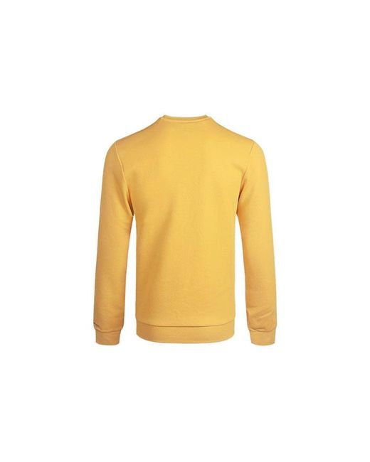 Adidas Yellow Neo M Cs Vrsty Sw Logo Printing Knit Sports Round Neck Pullover for men