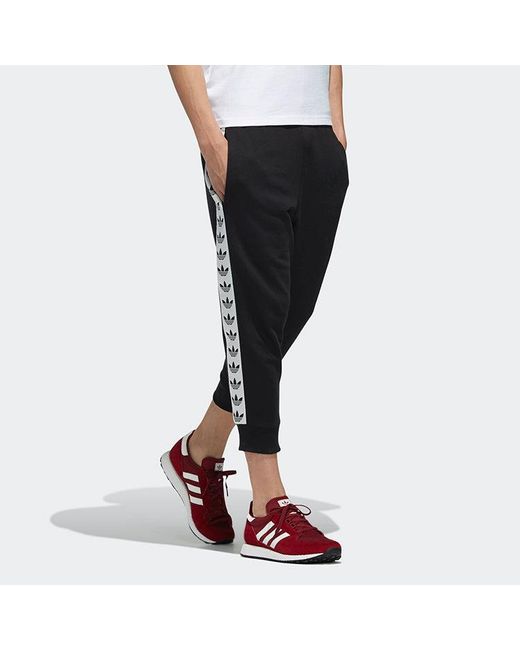 Adidas Blue Originals Logo Sports Pants/Trousers/Joggers for men