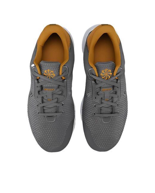 Nike Gray Flex Experience Run 11 Extra Wide for men