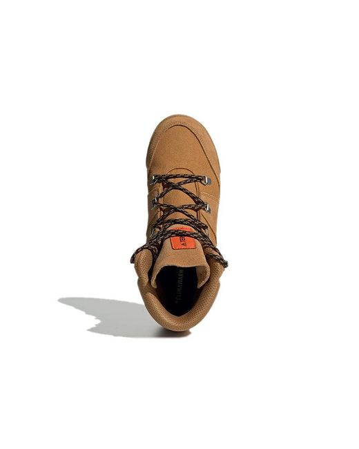 Adidas Brown (Wmns) Terrex Snowpitch Cw