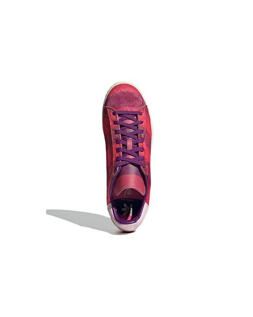Adidas Purple X Disney Campus 80S 'Cheshire Cat' for men