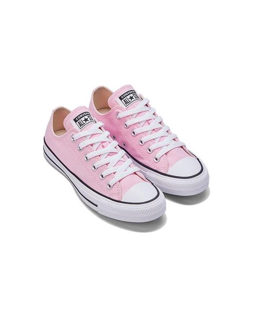 Converse Purple All Star Low Tops Retro Shoe for men