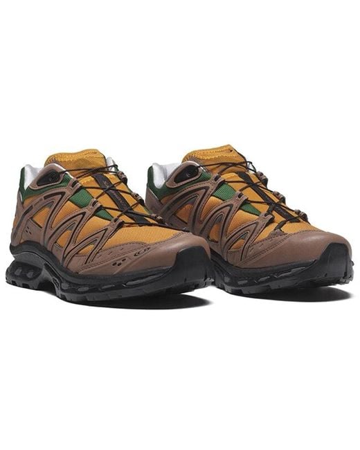 Salomon Brown Xt-Quest 75 for men