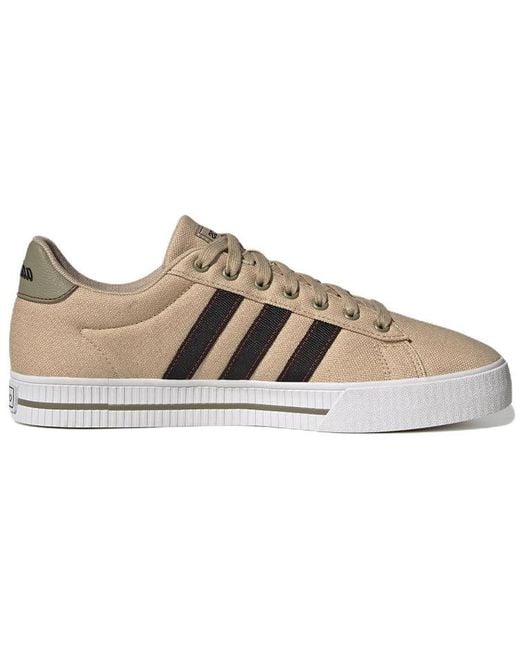 Adidas Brown Daily 3.0 Shoes 'Magic' for men