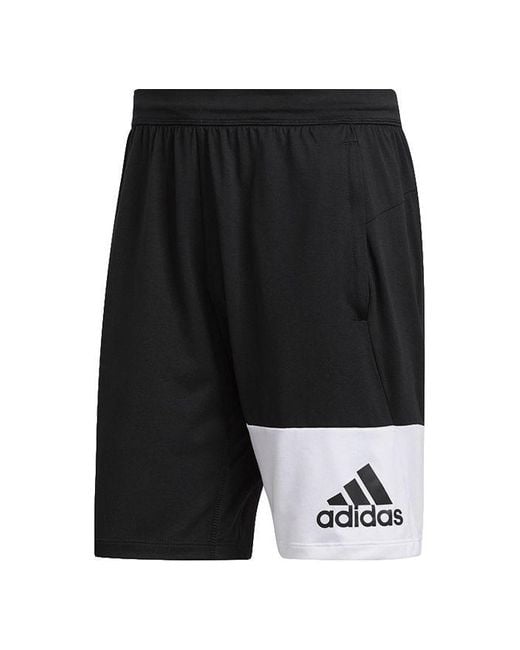 Adidas Black Athleisure Casual Sports Breathable Shorts for men