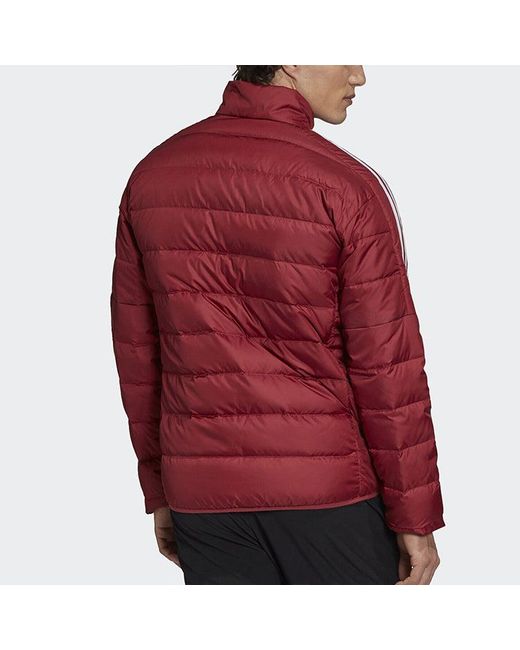 Adidas Red Logo Printing Stand Collar Stay Warm Sports Down Jacket for men