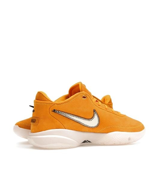 Nike Brown Lebron 20 'Unknwn Art Basel South Beast' for men