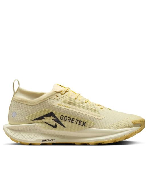 Nike Natural Pegasus Trail 5 Gore-Tex 'Alabster Medium Ash Lightening' for men