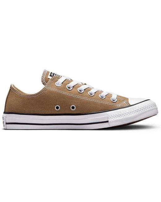 Converse Brown All Star Low Top Casual Canvas Shoe for men
