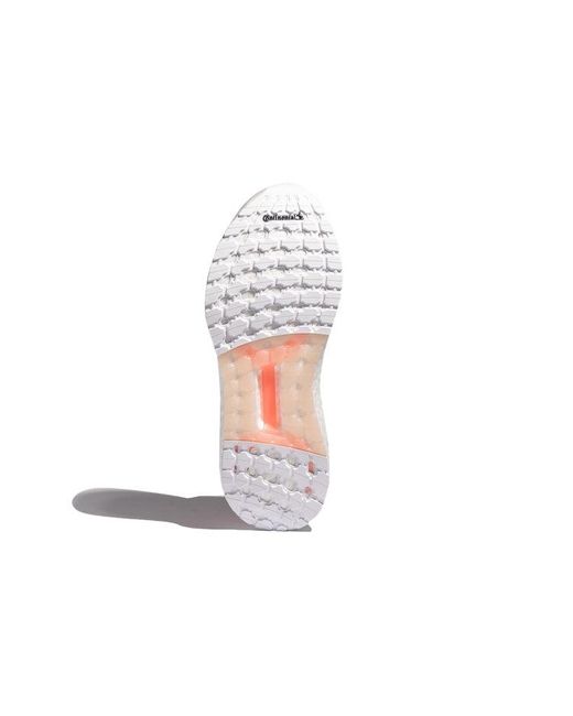 Adidas Pink (Wmns) Ultraboost Summer.Rdy 'Echo'