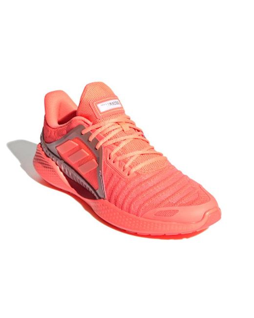 Adidas Pink Climacool Vent Summer.Rdy 'Signal Coral' for men