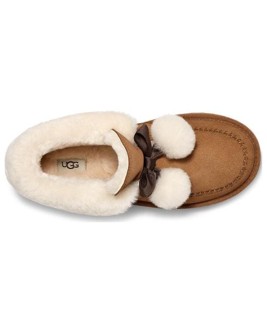 Ugg Brown (Wmns) Classic Short