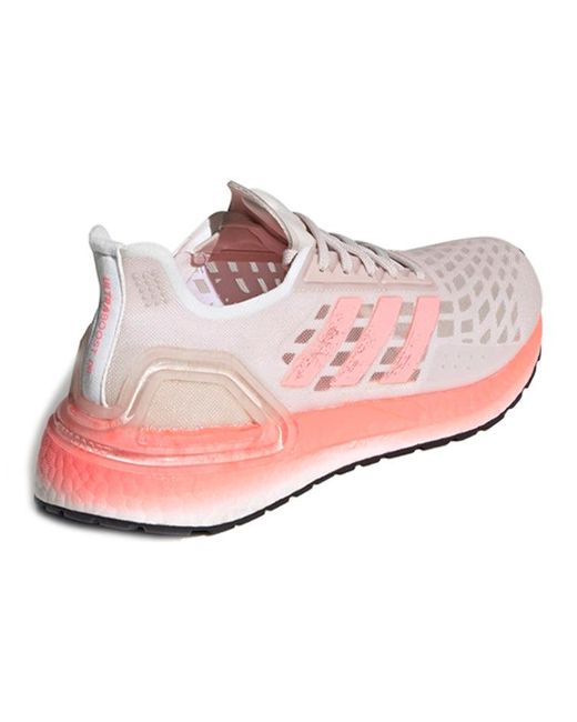 Adidas Pink (Wmns) Ultraboost Pb 'Echo'