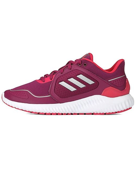 Adidas Purple (Wmns) Climawarm Bounce Rose