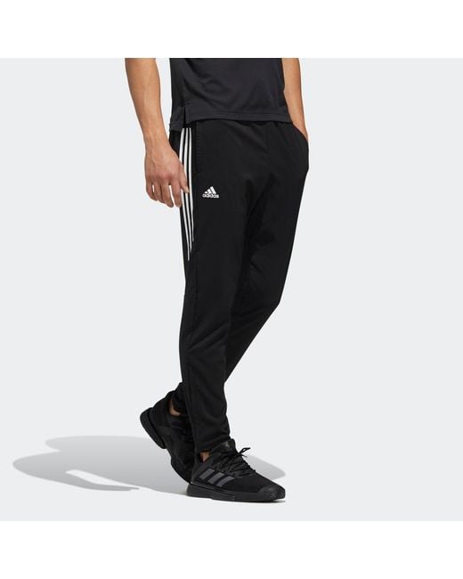 Adidas Black Cctcb 3S Wv Pnt Tennis Sports Long Pants for men
