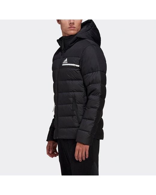 Adidas Blue Outdoor Sports Slim Fit Hooded Down Jacket for men