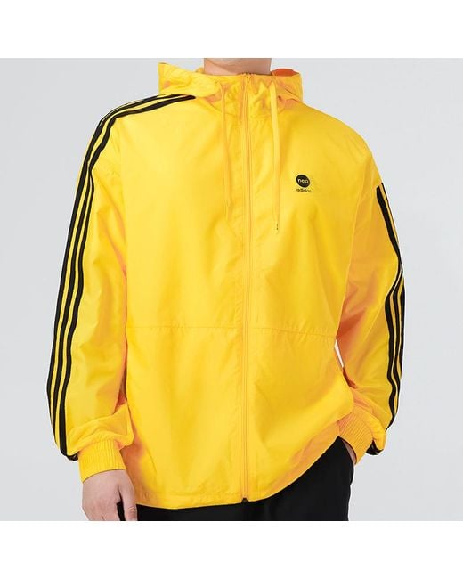Adidas Yellow Neo Essentials Windbreaker Jackets for men