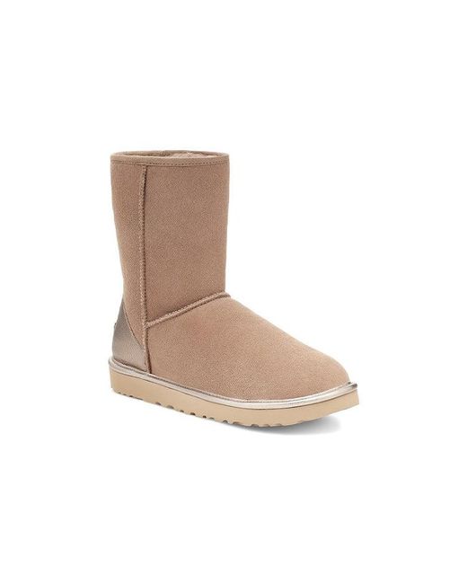 Ugg Brown (Wmns) Classic Short Shine
