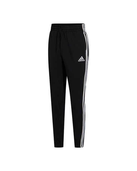 Adidas Black M 3S Sj To Pt Classic Stripe Knit Sports Pants for men