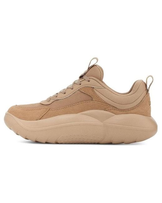 Ugg Natural (Wmns) La Cloud Trainer 'Driftwood'