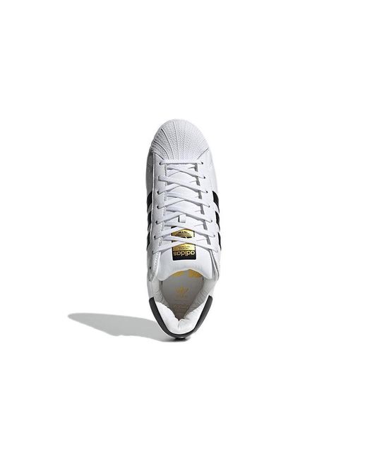Adidas White Kerwin Frost X Superstar 'Superstuffed' for men