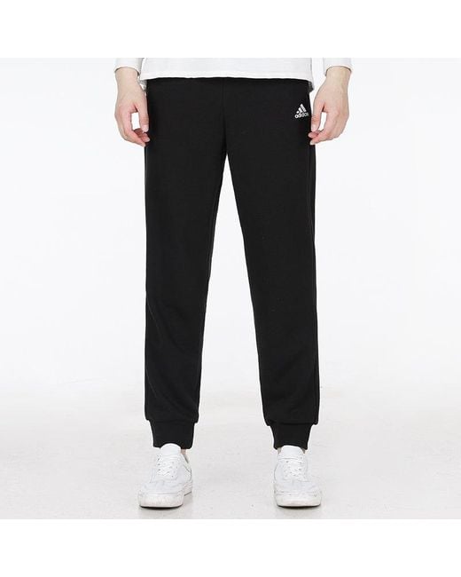 Adidas Black Sl Ft Tc Pt Logo Knit Sports Bundle Feet Long Pants/Trousers for men