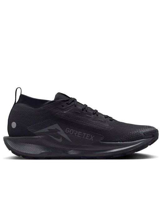 Nike Blue Pegasus Trail 5 Gore-Tex Anthracite' for men