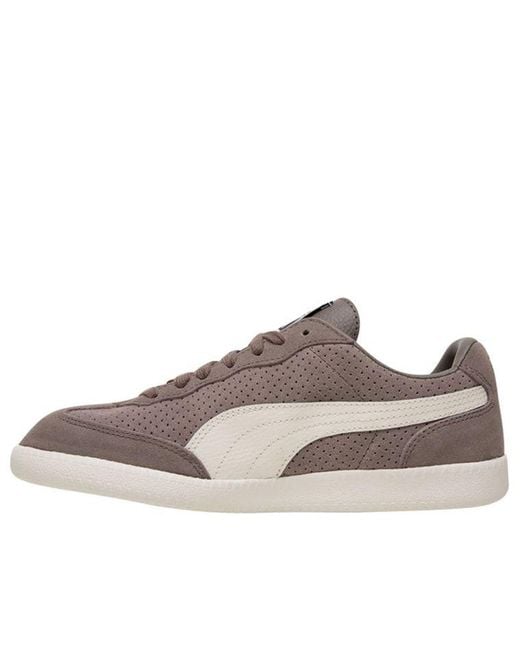 PUMA Brown Liga Suede for men
