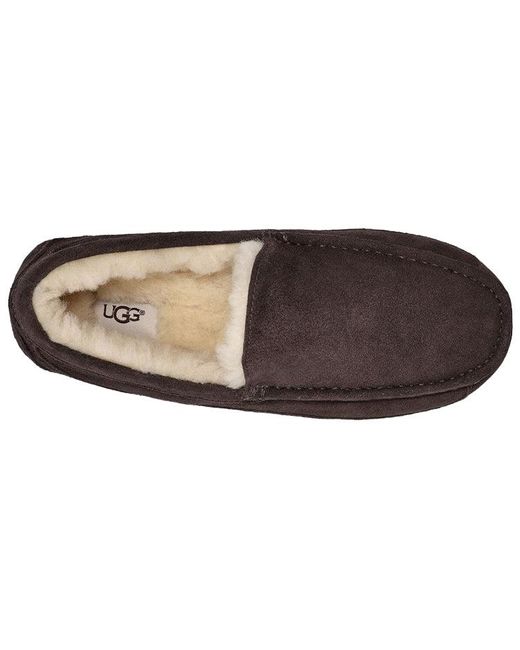 Ugg Brown Ascot Slipper Cozy Athleisure Casual Sports Shoe Fleece Lined for men