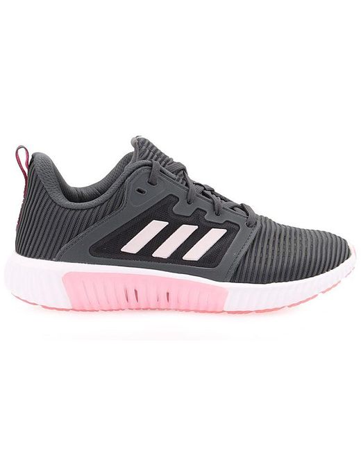 Adidas Blue (Wmns) Climacool Vent W