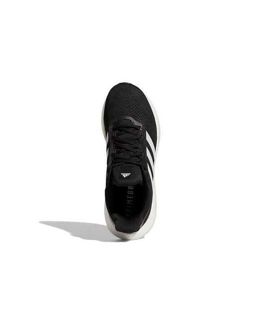 Adidas Black Pureboost 22 for men