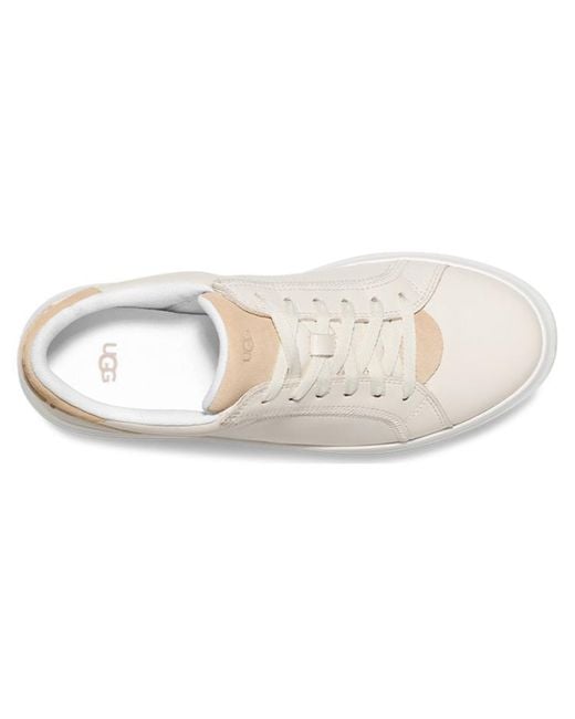 Ugg White (Wmns) Low Top Sneakers