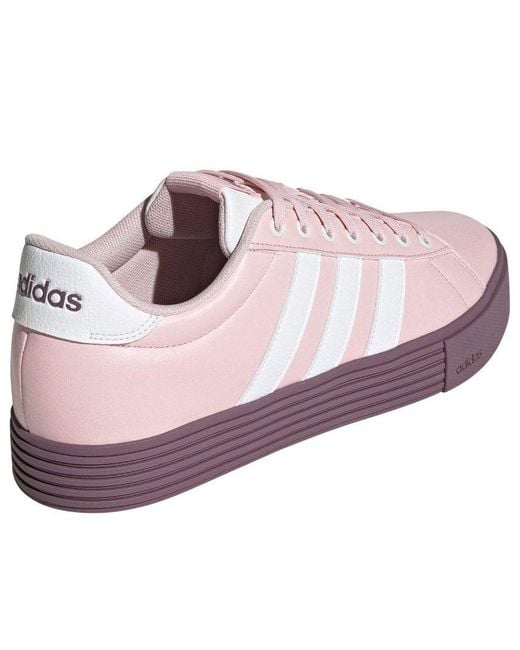 Adidas Purple (Wmns) Daily 4.0 Wine'