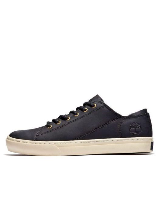 Timberland Blue Adventure 2.0 Oxford Sneakers Full Grain' for men