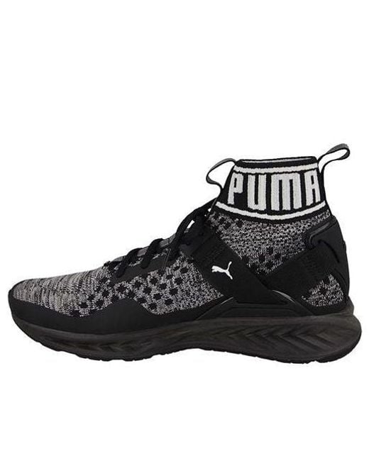 puma evoknit