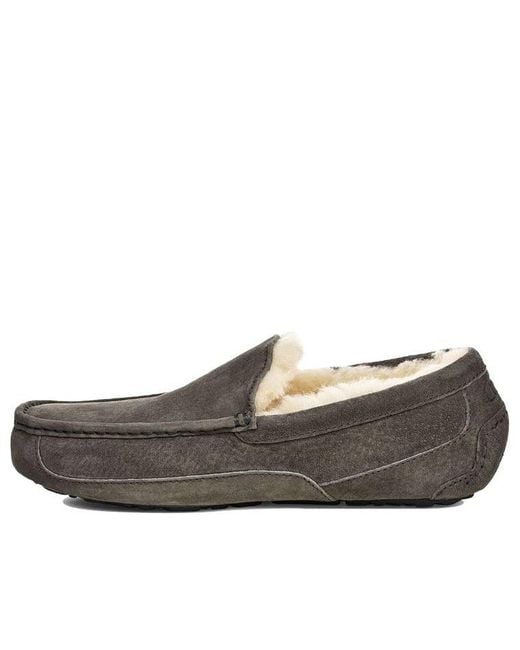Ugg Brown Ascot Slipper Cozy Fleece Lined Athleisure Casual Sports Shoe for men
