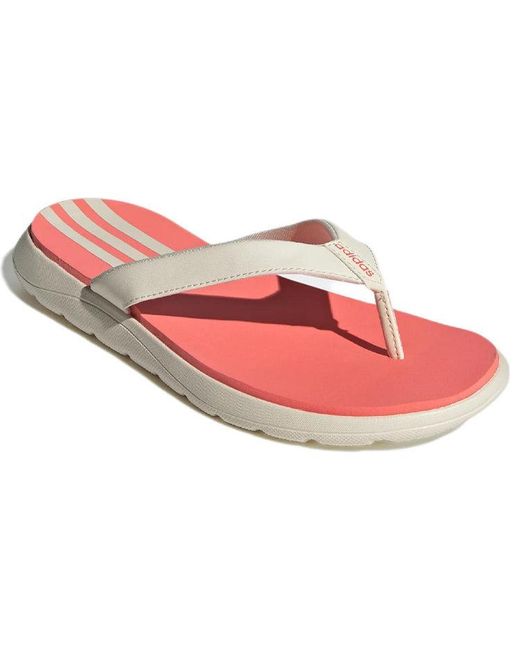 Adidas Pink (Wmns) Neo Comfort Flip-Flops