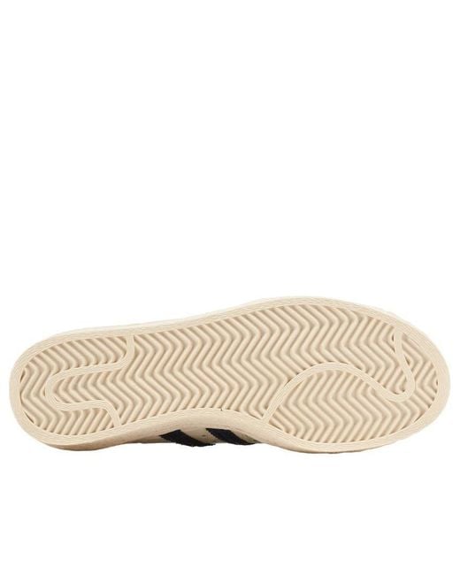 Adidas Blue X Wales Bonner Superstar 'Ivory' for men