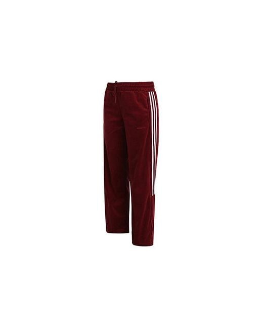 Adidas Red (Wmns) Neo Cs Tp Velour Pants