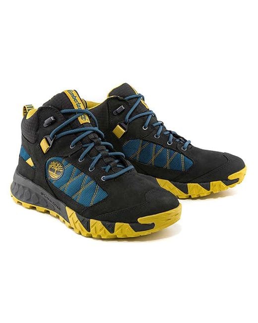 Timberland Blue Trailquest Waterproof Hiking Boots And' for men