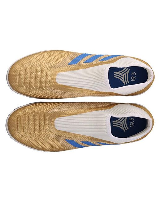 Adidas Blue Predator 19.3 Ll Tf for men