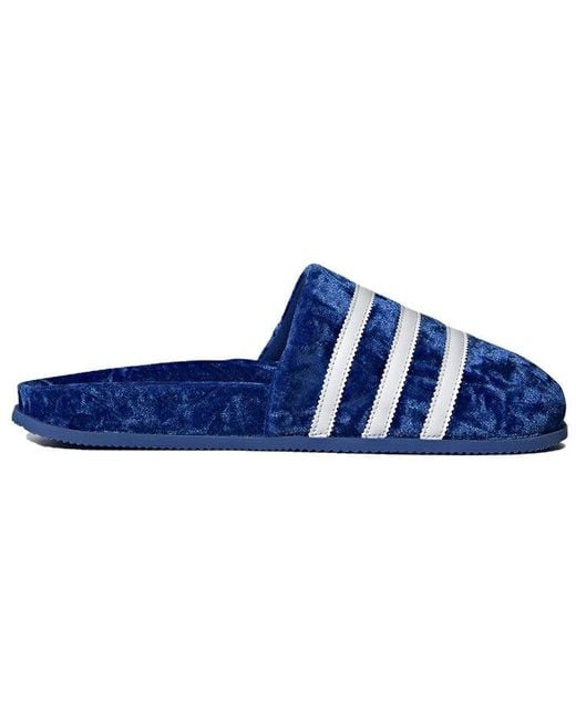 Adidas Blue Adimule Slide Velvet' for men